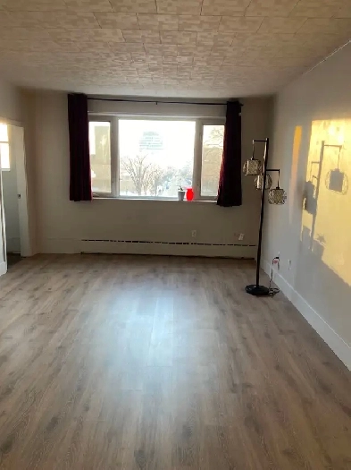 Downtown No-Frill Bachelor Studio Image# 1