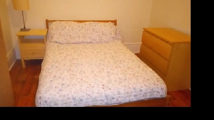 Nicely furnished room downtown  female only