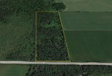 BUY AND BUILD , Image# 1