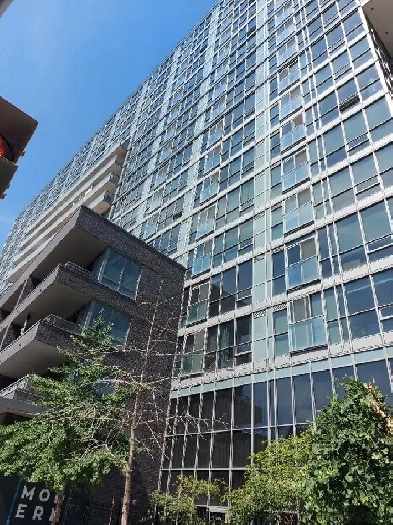 Subletting 2nd bedroom in Spectacular Downtown Condo from Mar 1 Image# 1