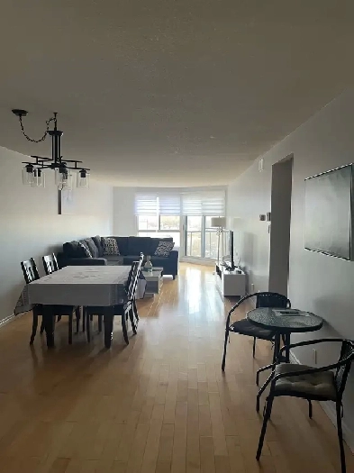 Appartement 3 1/2 près des Galeries d’Anjou Image# 1