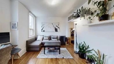 Little Italy 3-Bedroom Upper Two floors of a charming victorian Image# 1