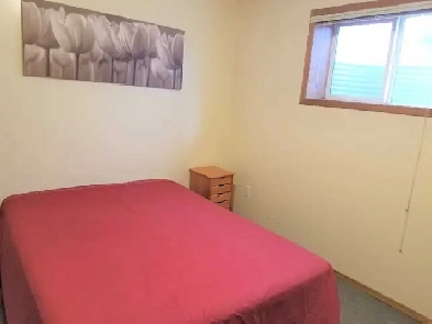 AWESOME LOCATION – BEAUTIFUL, BRIGHT BASEMENT SUITE Image# 1