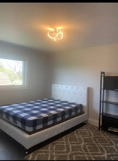 room for rent close to wonderland- Vaughan Image# 1