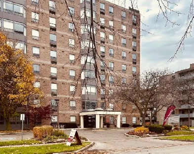 Aparments for rent Image# 1