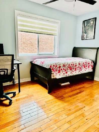 Furnished Single bedroom available for rent - only girls Image# 1