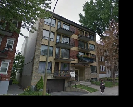 3 1/2 à louer Blvd Édouard-Montpetit Image# 1