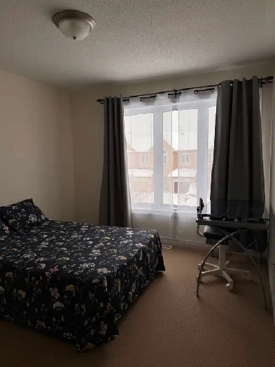 Room for Rent in Single Family Home (Orleans Area) Image# 6