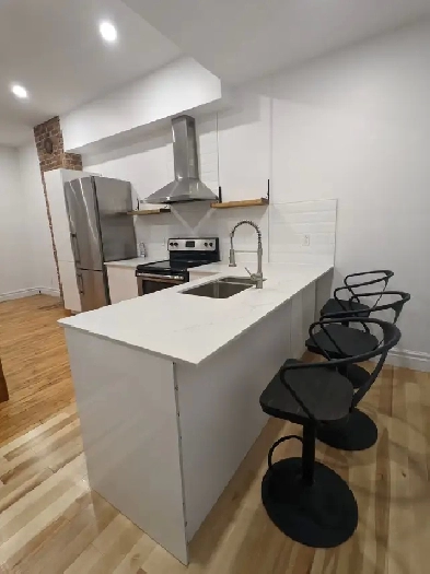 Furnished/all inclusive 4 bedroom near McGill Image# 1