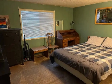 Room for rent Marlborough Park Image# 1