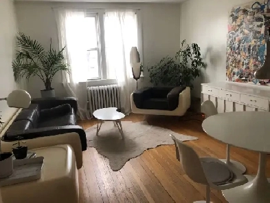 One bedroom   office/loft above Excalipurr Cat Cafe Image# 1