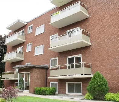 JEWEL'S COURT  - 1 BDRM Suite - Available Now! Image# 1