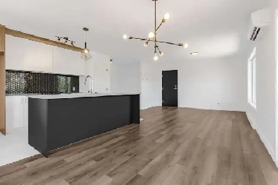 Superbe 4 1/2 dans le secteur de Saint-Émile Image# 1