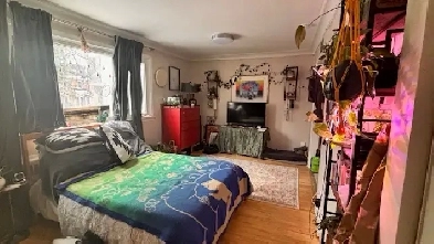 Large studio apt New Edinburgh Image# 1