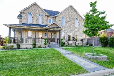 Dufferin/Major Mackenzie  (3 bedroom basement) Image# 8