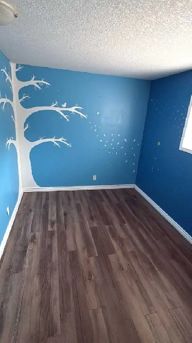 Private Rooms (basement) for Rent - Guelph (available Feb 1st)