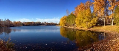 AWESOME LOCATION – BEAUTIFUL, BRIGHT BASEMENT SUITE Image# 1