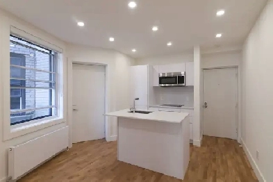 Renovated 1bed 1bath apt on Van Horne & CoteDesNeiges - ID 345 Image# 1