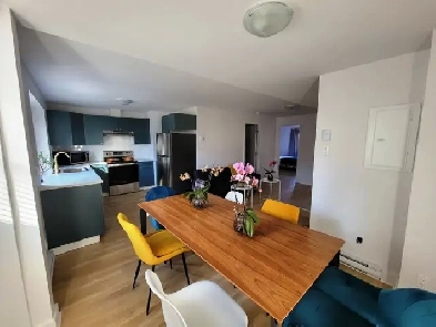 Brand New Furnished Amazing! Downtown McGill Ghetto 4 1/2 (2 BR) Image# 1