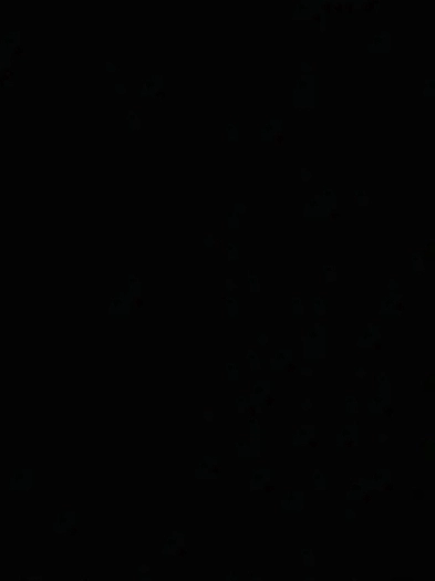 4 Bedroom Student Apartment Image# 1