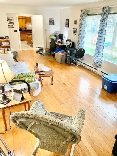 Room Rental (Large Downtown 2 Bedroom Apartment) - March 1st Image# 9