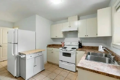 Spacious 2BR 1BA Basement at Surrey Newton! Won't Last! Image# 1