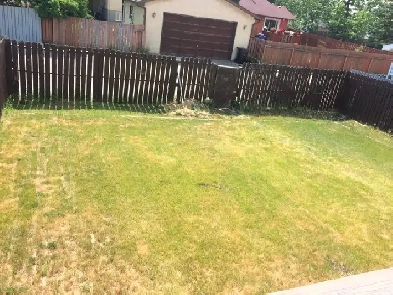 House - Main Floor - 2 Bedrooms and 1 Washroom for Rent Image# 1