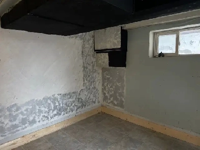 BASEMENT FOR RENT TORONTO Image# 1