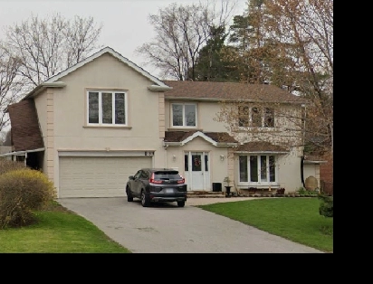 Available Now: Furnished Room in Basement near Yonge and Steeles Image# 1