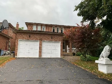 2 Bedroom Basement w Separate Entrance Prime Location in Markham Image# 2