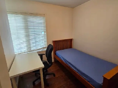 Room for Rent / Subway / North York Image# 1