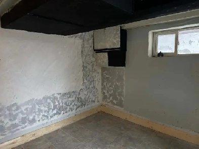 Basement for Rent Image# 1
