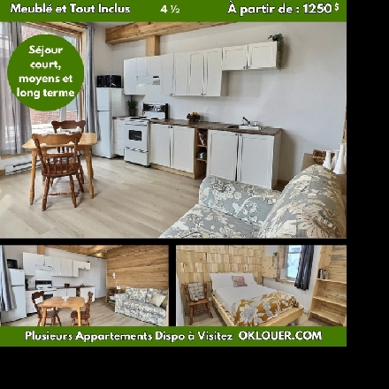 APPARTEMENT MEUBLÉ-TOUT INCLUS 2 CHAMBRES 4 1/2 CENTRE VILLE Image# 1