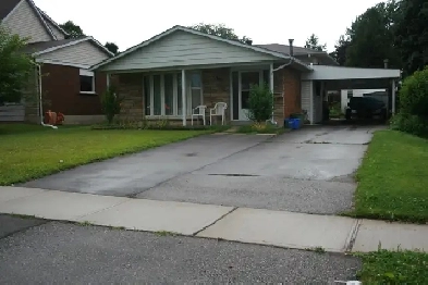 One Bedroom Basement for Rent Image# 1