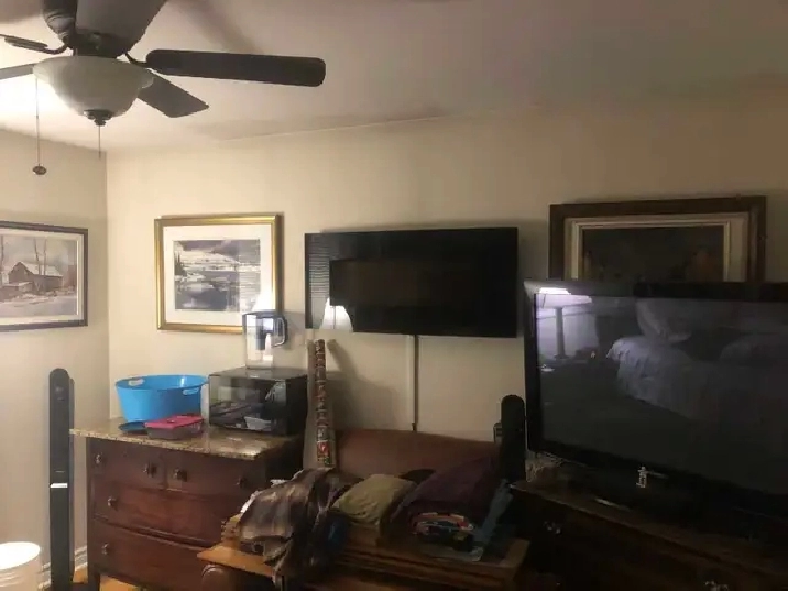 Tottenham room for rent