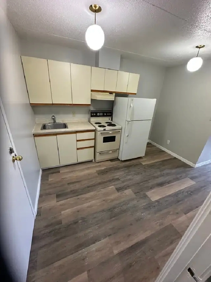 Main floor Bachelor Available Now