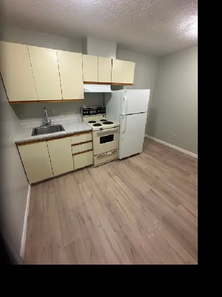 Bachelor Available Now Minnow Lake Image# 6