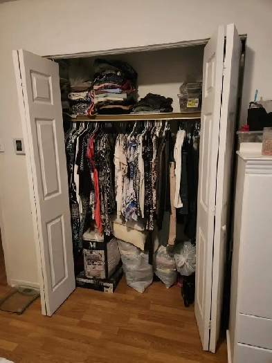 Pointe-aux-trembles beau grand 4 1/2 situé au 1er étage Image# 1