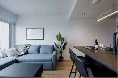 Loft entièrement meublé à louer Saint-Jean-Baptiste juillet 2026 Image# 1