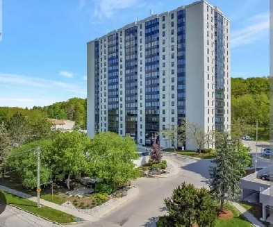 1 bedroom apartment for March 1. Image# 1