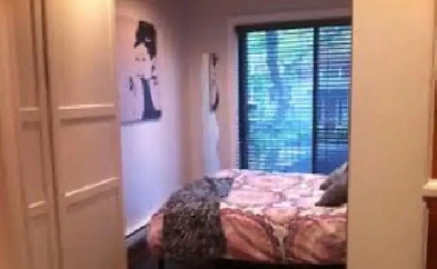 3 et demi a louer a cote du métro joliette Image# 1