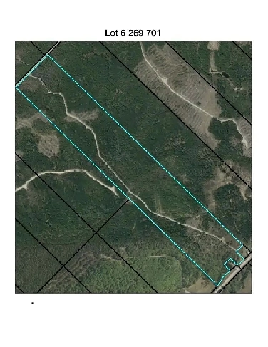 Lot boisé à vendre