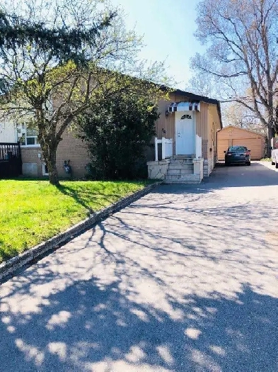 3 beds, 6 parking  , Downtown Brampton Image# 1