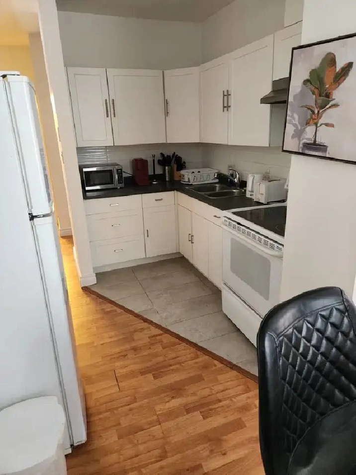 Grand et luxueux 3 1/2 Plateau Mont-Royal