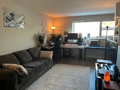 1 bedroom sublet asap- Feb 1st- great location/ price! Image# 1