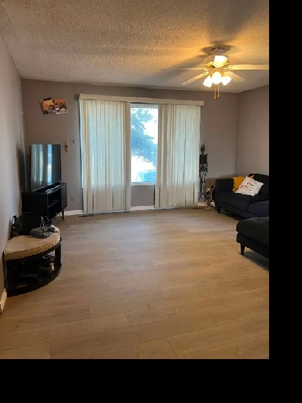 Bi-Level 3 Bedroom House for Rent in Falconridge, Calgary, AB Image# 1