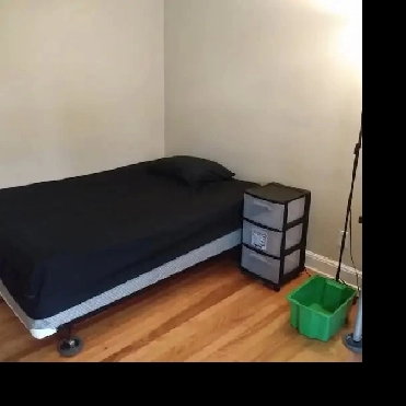 SHORT TERM- Immed/Feb 1- 1, 2 or 3 months, Merivale Rd, SeeVIDEO Image# 10