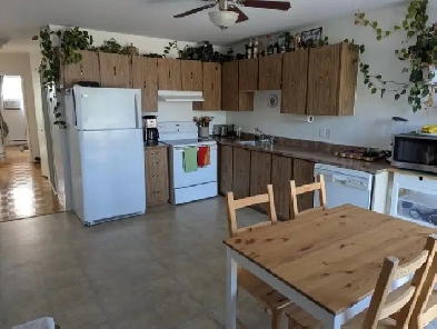 LACHINE CHARMANT 4 1/2 POSSIBILITÉ DE STATIONNEMENT Image# 9