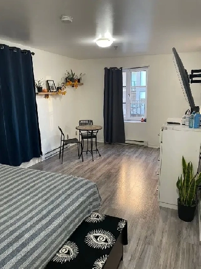 2 ½ Renovated Furnished Metro Papineau Montreal Apartment Image# 9