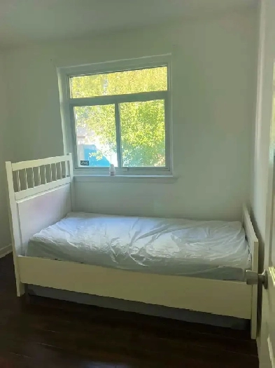 Single Room available Near Weston Rd and Sheppard Ave Image# 3